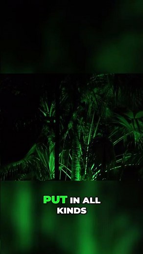 🤩 Durable & Colorful! 🌈 Smart RGBW Landscape Spotlights - Easy Outdoor Lighting! ✨