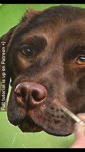 3.3K views · 231 reactions | A few little snippets of a recent...