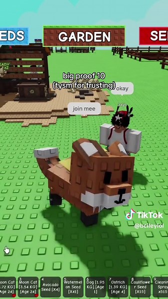 Trading in Roblox: Tips for Successful Cross Trades