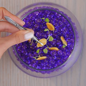 66K views · 145 reactions | Unique Gardening Hacks for Healthier Plants and Happier Gardens | Green Bean | Facebook