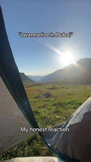 Exploring the Beauty of Nature Through Photography