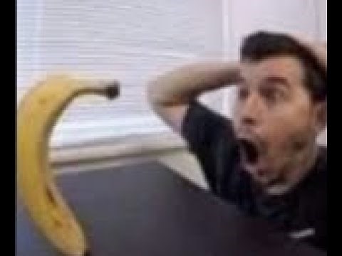 Blind monster AI test | ROBLOX