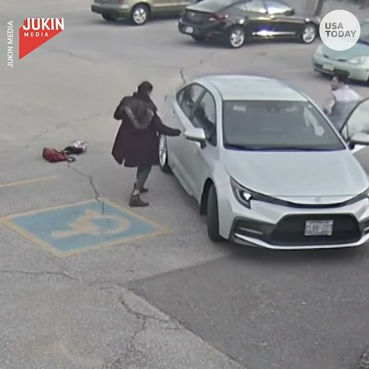 Protective goose attacks woman walking into work | USA TODAY