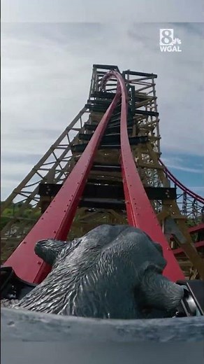 Take a ride on Wildcat’s Revenge at Hersheypark