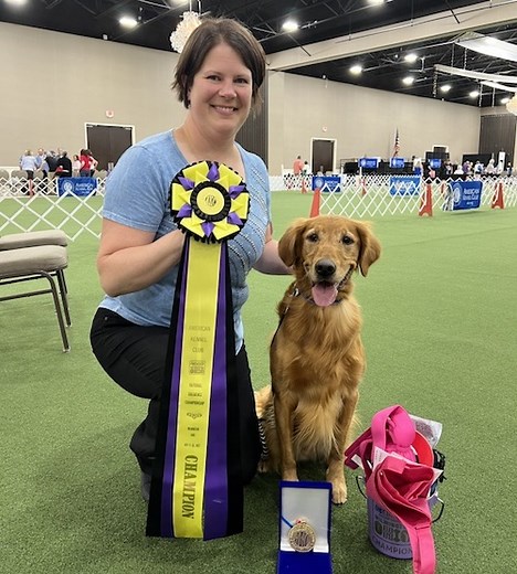 Golden Retriever 'Baker' Wins 2022 AKC National Obedience Championship