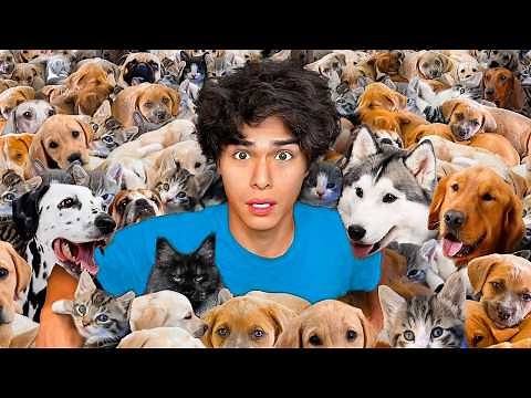 I Saved 100 Dogs from Dying