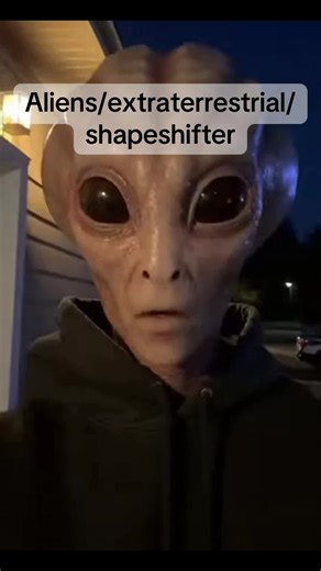 Follow for part 2 #alien #viralvideo #fyp #blowthisup #extraterrestrial