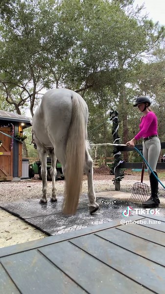 Understanding Your Horse's Unique Quirks