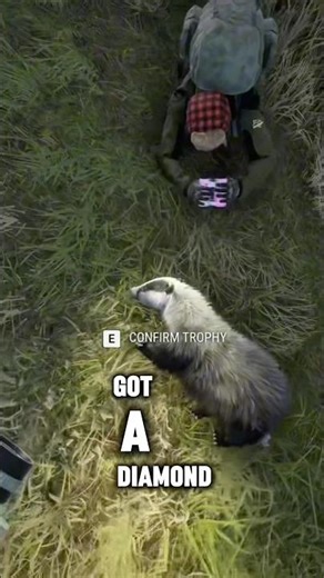 DIAMOND BADGER?! Early Access Scotland Is INSANE! ft. ‪@LadyLegendXO‬ #cotw #hunternetworkscotlandea