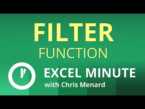 Excel FILTER Function | Excel One Minute Functions Explained