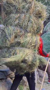 Village Life | Discover North