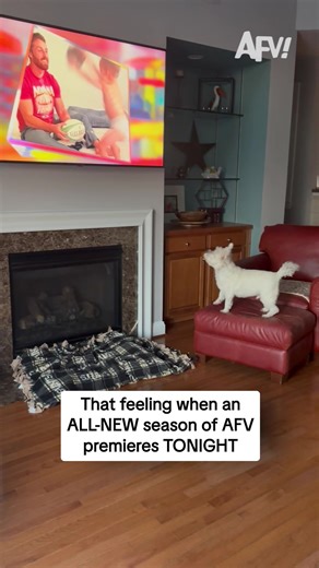 Watch Season 36 Premiere of AFV Tonight at 7/6c