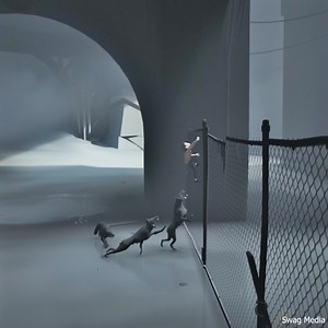 Most Dangerous Escape from 3 Angry Dogs 😯 | Swag Media