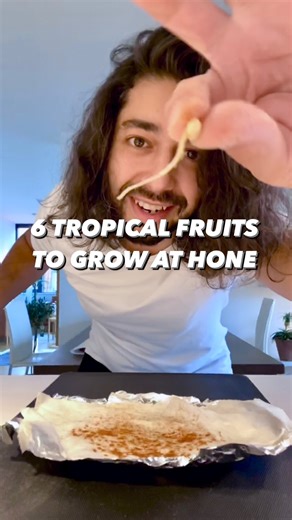 15M views · 357K reactions | 6 fruits that’ll make your garden feel like the tropics! 朗 Try growing some of these! . . . . #plants #gardening101 #lifehack #tips #lifestyle #sustainable #healthyliving #diy #howto #gardeningtips #growyourownfood | creative explained | Facebook