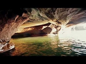 Sid The Science Kid - In A World Of Darkness