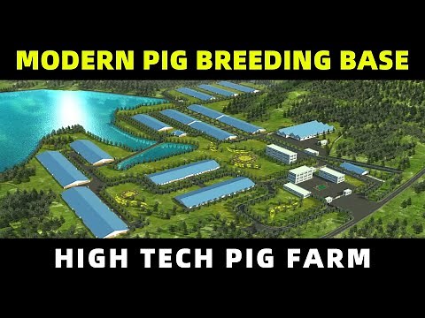 2022 Modern Pig Farm Design Plan | Pig Breeding Project