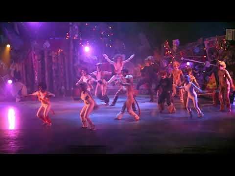 Cat's Musical