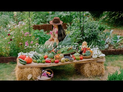 #84 Growing a Vegetables Garden from an Empty Backyard | No Dig - Satisfying Harvest!