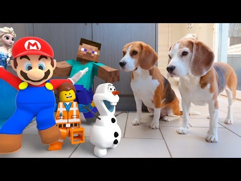 TOP 500 Animation in Real Life vs Dogs | LEGO - Minecraft - Mario and More!