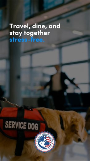 Travel without stress. Register your service dog or ESA and bring them onboard without paying pet fees. | United Service Dog