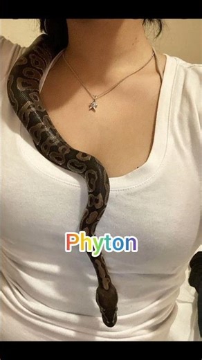 Top Programming Languages to Learn in 2026 👨‍💻🔥 #shorts #coding #programming