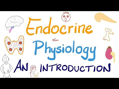 Endocrine Physiology - Introduction - Endocrinology Series