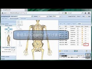 BodyParts3D/Anatomographyの使い方～実践編～ 3D画像の作成