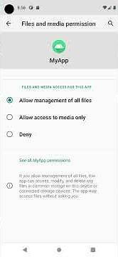 How to allow permission "Access all files" on Android