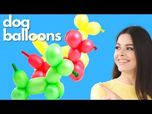 How to Make a Dog Balloon Animal for Beginners #balloonanimaldog #balloonanimals