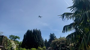 13K views | Cotswold Wildlife Park and Gardens on Reels | Facebook