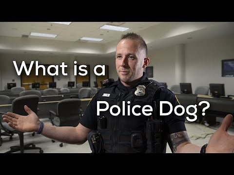 What Is A Police Dog?