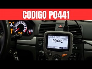 How to fix engine code P0441? [2 DIY methods]