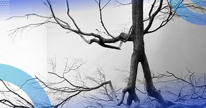 Regression Trees: How to Get Started | Built In