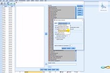 Extraction Method: Maximum Likelihood Estimation
