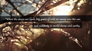 Whether spring reminds you of new blooms, a change of pace, or a budding romance, we've got you covered. | Epic Reads