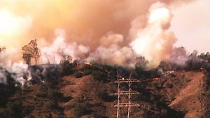 Brush fire near LA Zoo in Griffith Park burns 30 acres