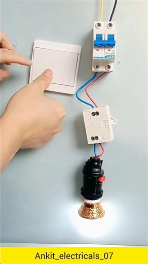 2-pole MCB and a Wi-Fi smart switch module ⚡💡#shorts #newvideo #electrician #electrical