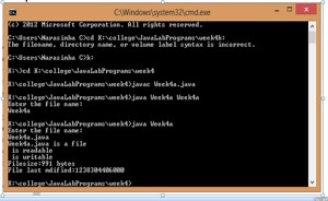 Write A Java Program That Reads A File Name From The User, Then Displays