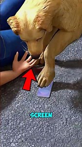 Service Dog’s Secret Call Saves His Life 🐕📱