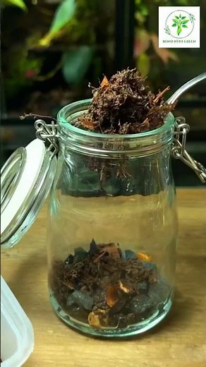 "Mini Nature: Step-by-Step Guide to Crafting Your Own Stunning Terrarium Wonderland at Home! 🌿✨"