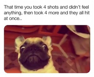 1.3M views · 2.2K reactions | You feeling it now?  | Steve Blum | Facebook