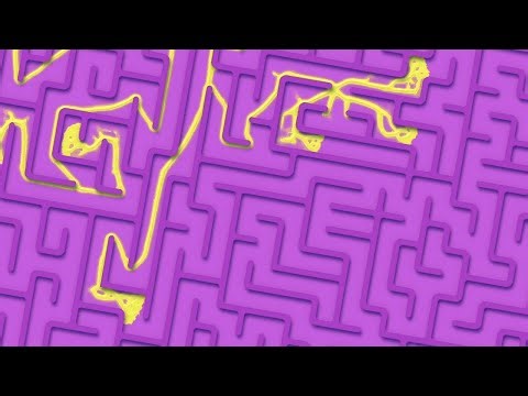 Can YOU solve the maze before the slime?