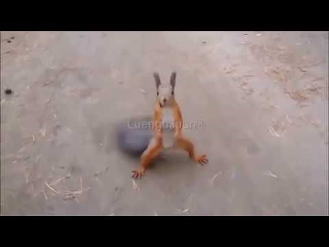 Funny short clip under 30 sec