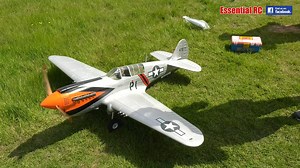 Simulated sound ! Electric RC P-41 Warhawk | Essential RC