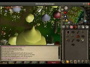 Bird house run including banking