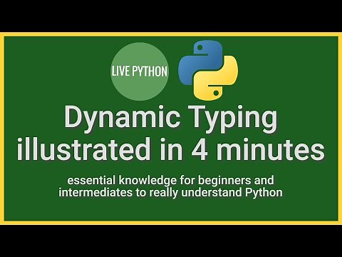 Python's Dynamic Typing Illustrated in 4 minutes: essential knowledge for writing bug-free code