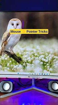 Move mouse pointer new tricks | Windows 11 mouse cursor change