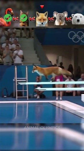 Flamingo vs Cat vs Fox vs Koala vs Bear - Diving Challenge😮
