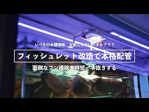 ［古代魚、大型魚飼育者向け］フィッシュレットを改造、配管 水槽掃除の時短テク
