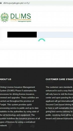 How to check my Driving License information